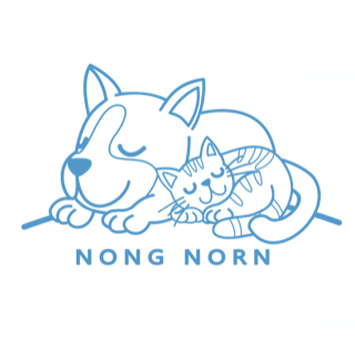 NongNorn Team