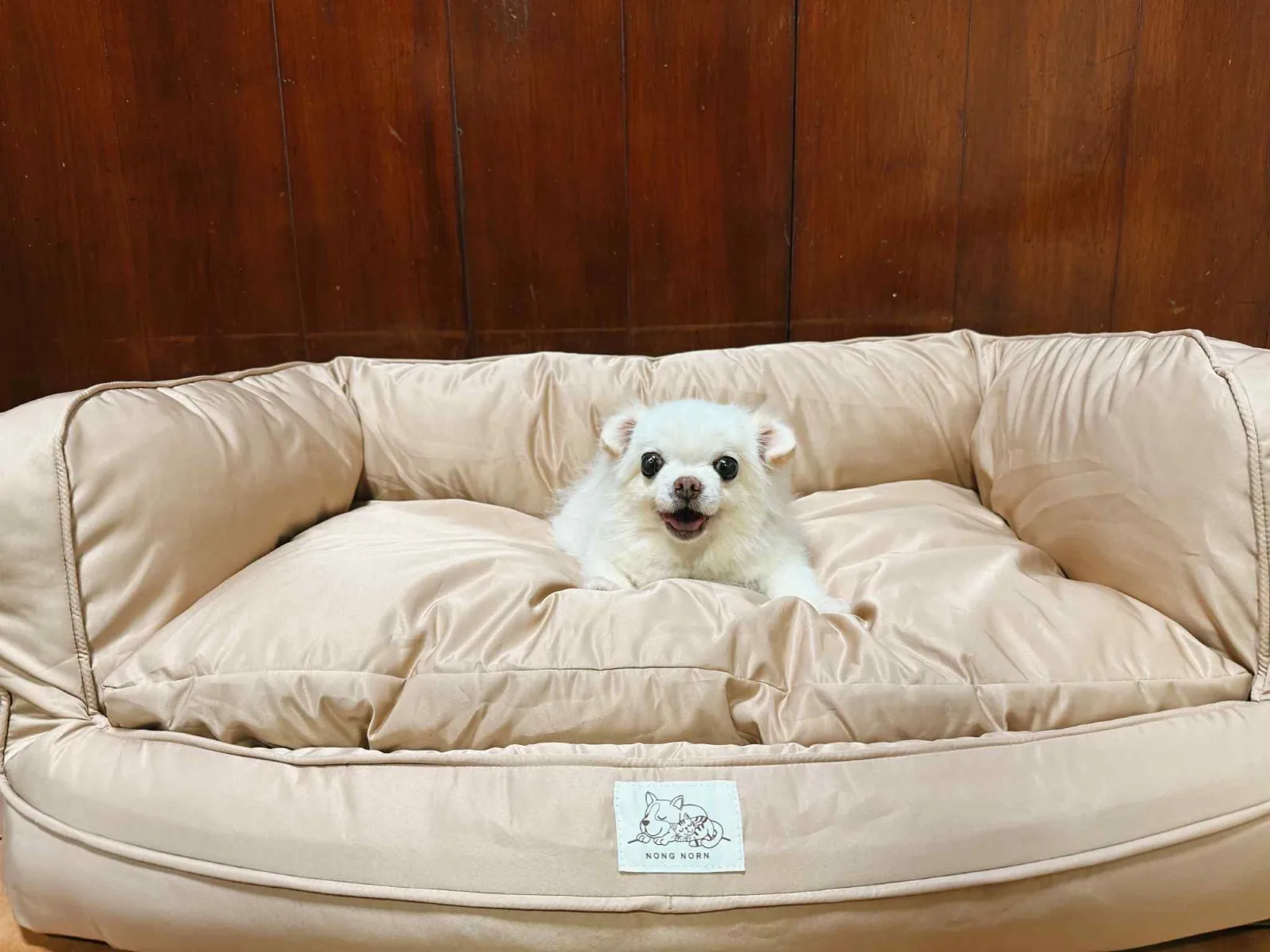 Keeping a pet bed plump for years